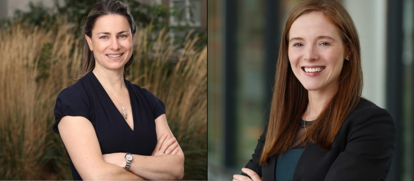 Newly Appointed Director